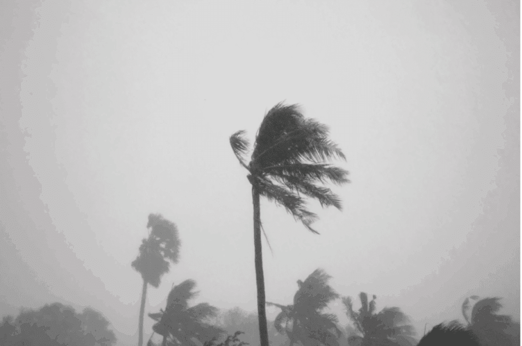 Ask about the weather for a Wedding Venue in Florida